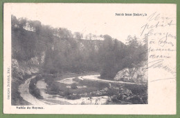 CPA Dos Précurseur Vue Rare  - BELGIQUE - VALLÉE DU HOYOUX - PONT DE BONNE (MODAVE) - Modave