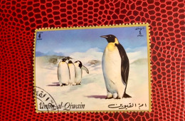 UMM AL QIWAIN 1972 1v Used Pájaro Bird Pássaro Vogel Ucello Oiseau - Penguins