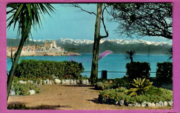 CPSM -  ANTIBES 06 - La Vieille Ville Au Fond Les Alpes Neigeuses  - Antibes - Altstadt