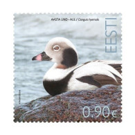 ESTONIA , Estland  2023 - Bird Of The Year – The Long-tailed Duck  Mint MNH Stamp - Estland