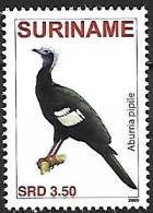 Suriname (Surinam) - MNH ** 2009 :     Blue-throated Piping Guan  -  Pipile Cumanensis - Hühnervögel & Fasanen