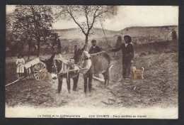 CPA Ane Donkey Circulé Cantal - Anes