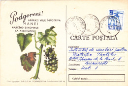 ADVERTISING THE FIGHTING OF PESTS,  USED,  COD. 137/4049/74,  POST CARD STATIONERY   ROMANIA - Ganzsachen
