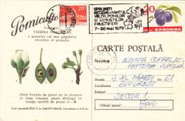 ADVERTISING THE FIGHTING OF PESTS,  USED,  COD. 560/1171/64,  POST CARD STATIONERY   ROMANIA - Ganzsachen