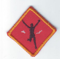 B 21 - 74 Scout Badge - Scoutisme