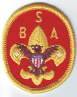 B 21 - 82 USA Scout Badge  - Scouting