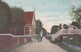 3652	15	Westzaan, Hondenkar (poststempel 1911 (diverse Vouwen) - Zaanstreek