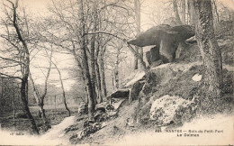 FRANCE - Nantes -  Bois Du Petit Port - Le Dolmen - Carte Postale Ancienne - Nantes