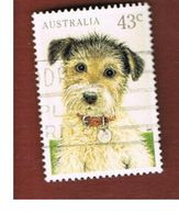 AUSTRALIA  -  SG 1299  -      1991   DOG    -       USED - Usados