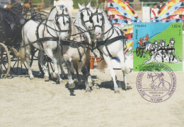 Carte  Maximum  1er  Jour    FRANCE   Jeux  Equestres  Mondiaux   CAEN   2014 - 2010-2019