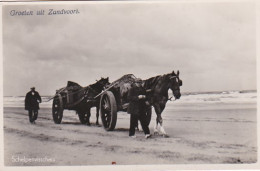 3725	33	Groeten Uit Zandvoort, Schelpenvisschers.  - Zandvoort