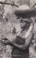 3725	102	Cotton Picking In Northern Nigeria (See Backside) - Nigeria