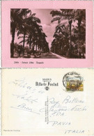 Angola Estrada Lobito - Benguela Route - Pink-turned Pcard 22jan1955 To Italy With Rhino Ags.2 SOLO Franking - Angola