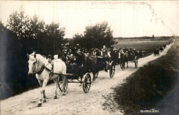 Finland - Paard Met Wagen - Finnland