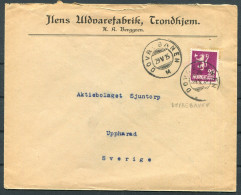 1925 Norway Trondheim DOVREBANEN Railway Cover - Uppharad Sweden - Covers & Documents