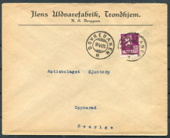 1925 Norway Trondheim DOVREBANEN Railway Cover - Uppharad Sweden - Covers & Documents