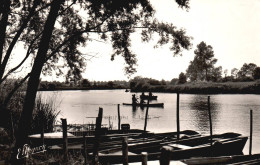 VILLENEUVE LA GUYARD -  Bords De L'Yonne, L'Embarcadère à PORT RENARD - Villeneuve-la-Guyard