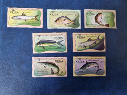 CUBA  NEUF  1971   PESCA  DEPORTIVA  //  PARFAIT  ETAT  // 1er  CHOIX  // Avec Gomme - Unused Stamps