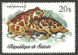 470 Guinee Grenouille Frog Frosch Rana (GUF-113b) - Frogs