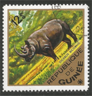 470 Guinee Rhinocéros Rinoceronte Nashorn (GUF-107) - Rinoceronti