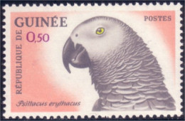 470 Guinee Psittacus Perroquet Gris Gray Parrot 0.50 MNH ** Neuf (GUF-88b) - Papageien