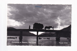 E5541) Abendstimmung Am  WEISSENSEE - Kärnten - Pferdefuhrwerk Mit Heu über Brücke ALT ! - Weissensee