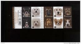 Belgie Boekje Carnet 2014 B145 4383/92 Dogs Honden Chiens Chihuahua Collie Cocker Jack Russell Golden Retriever - 1997-… Permanent Validity [B]