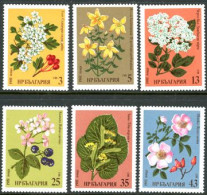 BULGARIE 1981 - Plantes Médicinales - 6 V. - Neufs