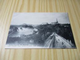 CPA Chûtes Du Rhin (Suisse).Vue Panoramique - Carte Animée. - Neuhausen Am Rheinfall