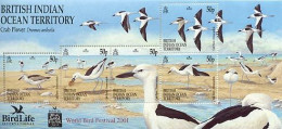 BIOT 2001 - Birdlife - Crab Plover - BF - Seagulls
