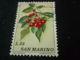 SAN MARİNO -1960-80     25    LİRE   DAMGALI - Oblitérés