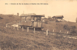 74-COLLONGES-SUR-SALEVE- CHEMIN DE FER DU SALEVE ET STATION DES XIII ARBRES - Autres & Non Classés