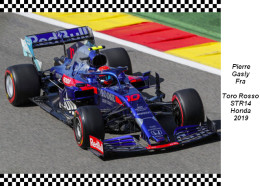 Pierre  Gasly  Toro Rosso  STR14 2019 - Grand Prix / F1