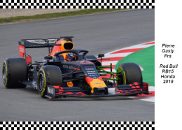 Pierre  Gasly  Red Bull  RB15 2019 - Grand Prix / F1