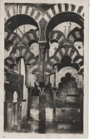 Cordoba   La Mezquita - Córdoba