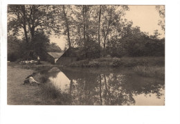 Winenne Canal Du Moulin - Beauraing