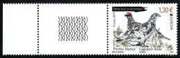 SALE!!! FRENCH ANDORRA ANDORRE 2019 EUROPA CEPT National Birds 1 Vignette + 1 Stamp MNH ** - 2019