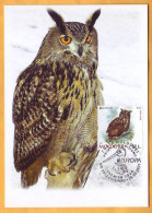 2021 Moldova Moldavie MAXICARD  EUROPA CEPT-2021  Owl, Fauna, Birds - 2021