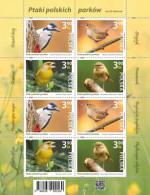 Poland 2024 Birds Of Polish Parks  Full Mini Sheet MNH** New!!! - Nuevos