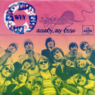 * 7" *  The CATS - WHY (Holland 1970) - Disco & Pop