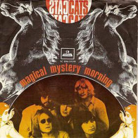 * 7" *  The CATS - MAGICAL MYSTERY MORNING (Holland 1970) - Disco, Pop