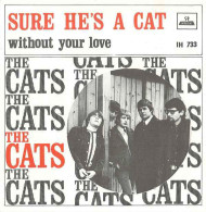 * 7" *  THE CATS - SURE HE'S A CAT (Holland 1967) - Disco, Pop