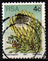 # Sud Africa 1977 - Long-leaf Sugarbush (Protea Longifolia) - Farfalle E Falene | Fiori | Piante (Flora) - Oblitérés