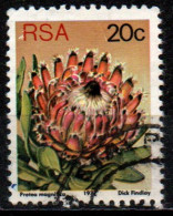 # Sud Africa 1978 - Queen Protea (Protea Magnifica) - Fiori | Piante (Flora) - Gebraucht