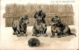 Chromo Au Bon Marché SIT-10 - N°5 Chiens Et Porc-Epic Cani E Porcospino Chien Dog Cane Porcupine En B.Etat - Au Bon Marché