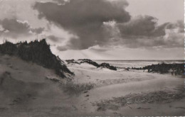 9953 - Langeoog - Dünen Und Strand - 1956 - Langeoog