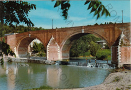 CARTOLINA  C2 CESENA,EMILIA ROMAGNA-PONTE VECCHIO SUL SAVIO-STORIA,MEMORIA,CULTURA,RELIGIONE,BELLA ITALIA,VIAGGIATA 1969 - Cesena