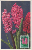 CP Max "Tulipes, Narcisses, Jacinthes) Obl. Mondorf Les Bains Le 1/4/55 Sur N° 490 à 493 - Maximumkaarten