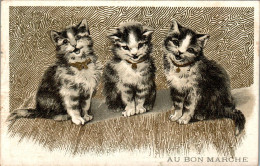 Chromo Au Bon Marché SIT-10 - N°9 Chats Chanteurs Gatti Canterini Chat Cat Gatto B.Etat - Au Bon Marché