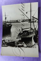 Tanger Harbor Haven - Fishing Boats